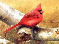 Art Birds Puzzle Online Game - Jigsaw Puzzle