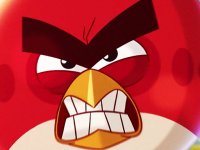 Angry Birds vs Pigs Online Puzzle Game