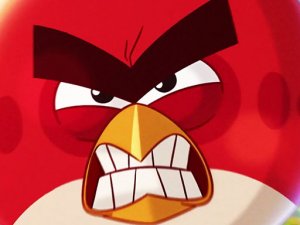 Angry Birds vs Pigs Online Puzzle Game