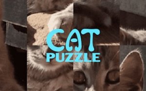 Hidden Feline Picture Game