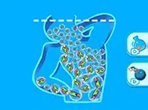 Shape Fill Logic Challenge